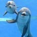 Kathy Snavely - Facebook