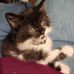 Kathy Snavely - Facebook