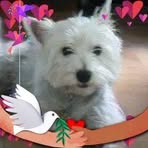 Kathy Snelling - Facebook