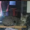 Kathy Soles - @kathysoles3 - TikTok