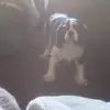 Kathy Solomon - @kathy.solomon5 - TikTok