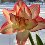 Kathy Russell Soper - @kathyrussellsoper - Instagram