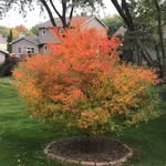 Kathy Soper Moon - @kmoon526 - Instagram