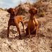Kathy Sorge - Facebook
