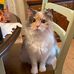Kathy Sours - Facebook