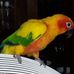 Kathy Souter - Facebook