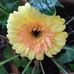Kathy Soutter - Facebook