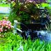Kathy Sowers - Facebook