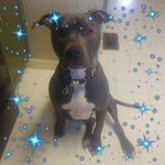 Kathy Sowers - @kathy.sowers.5 - Instagram