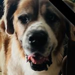 Kathy Sowers - @katsowe - Instagram