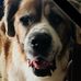 Kathy Sowers - Facebook