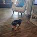 Kathy Soyars - Facebook