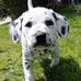 Kathy Sparkman - Facebook