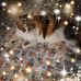 Kathy Spangler - Facebook