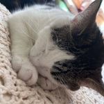 Kathy Spangler - @kathinthehat - Instagram