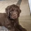 Kate.spargo - @moose_the_man - TikTok