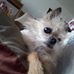 Kathy Spasoff - Facebook