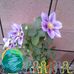 Kathy Sperry - Facebook