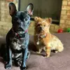 kathysperryphd - @kathysperryphd - TikTok