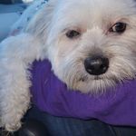 Katherine Spiteri Henderson - @kit_kat_1969 - Instagram