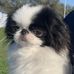Kathy Spiteri - Facebook