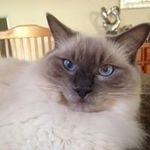 Kathy Spiteri - @68_kathy - Instagram