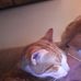 Kathy Wombacker Spiteri - Facebook