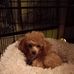 Kathy Spotts - Facebook