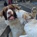 Katherine Sprankle Bagby - Facebook