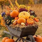 Kathi Staab - Facebook