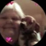 Kathy Stamp Mallonee - @kathystampsmallonee12 - Instagram