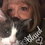Kathy Stamper - @kathy___stamper - Instagram