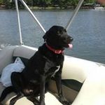 Kathy Starnes - @kathystarnes - Instagram