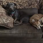 Kathy Starnes Carter - @kathycarter52 - Instagram