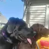 kapas77 - @kathystearns0 - TikTok