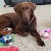 Kathy Stearns - Facebook