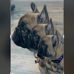 Kathy Stearns - @stearns2600 - Instagram