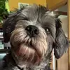 Kathy Stearns Caplinger - @kathy.stearns.cap - TikTok