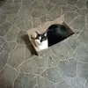 Kathy Stearns - @kathy.stearns - TikTok