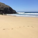Kathy - @kathy.steffensen - Instagram