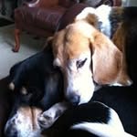 Kathy Steffens - @ks3day - Instagram