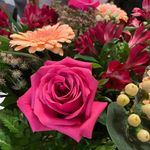 Kathy-Lynn Stennett - @kathylynnstennett - Instagram