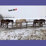 Kathy-Lynn Stennett - @stennettkathylynn - Instagram