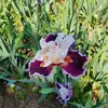Kathy Hostetler807 - @kathyhostetler807 - TikTok