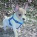 Kathy Kerres Stigers - Facebook