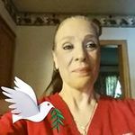 Kathy Stipelcovich - @kathystipelcovich - Instagram