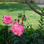 Kathy Wold Stogsdill - @ks3580379 - Instagram