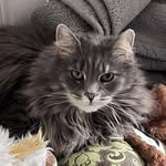 Kathy Stoops - @kathystoopscalarco - Instagram