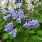 Kathy Saunders Stowell - @kathy_stowell - Instagram