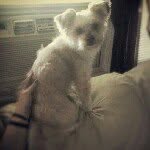 Kathy! - @kathystracuzzi - Instagram